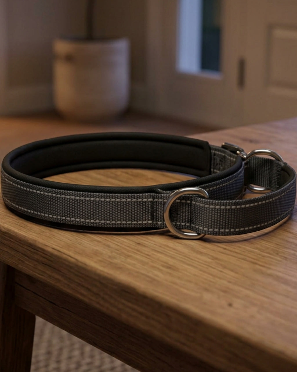 Basy Reflective Padded Limited-Slip Pet Collar 42-60 cm Charcoal - Lifestyle view