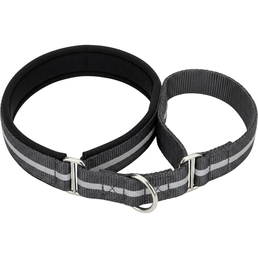 Basy Reflective Padded Limited-Slip Pet Collar 42-60 cm Charcoal