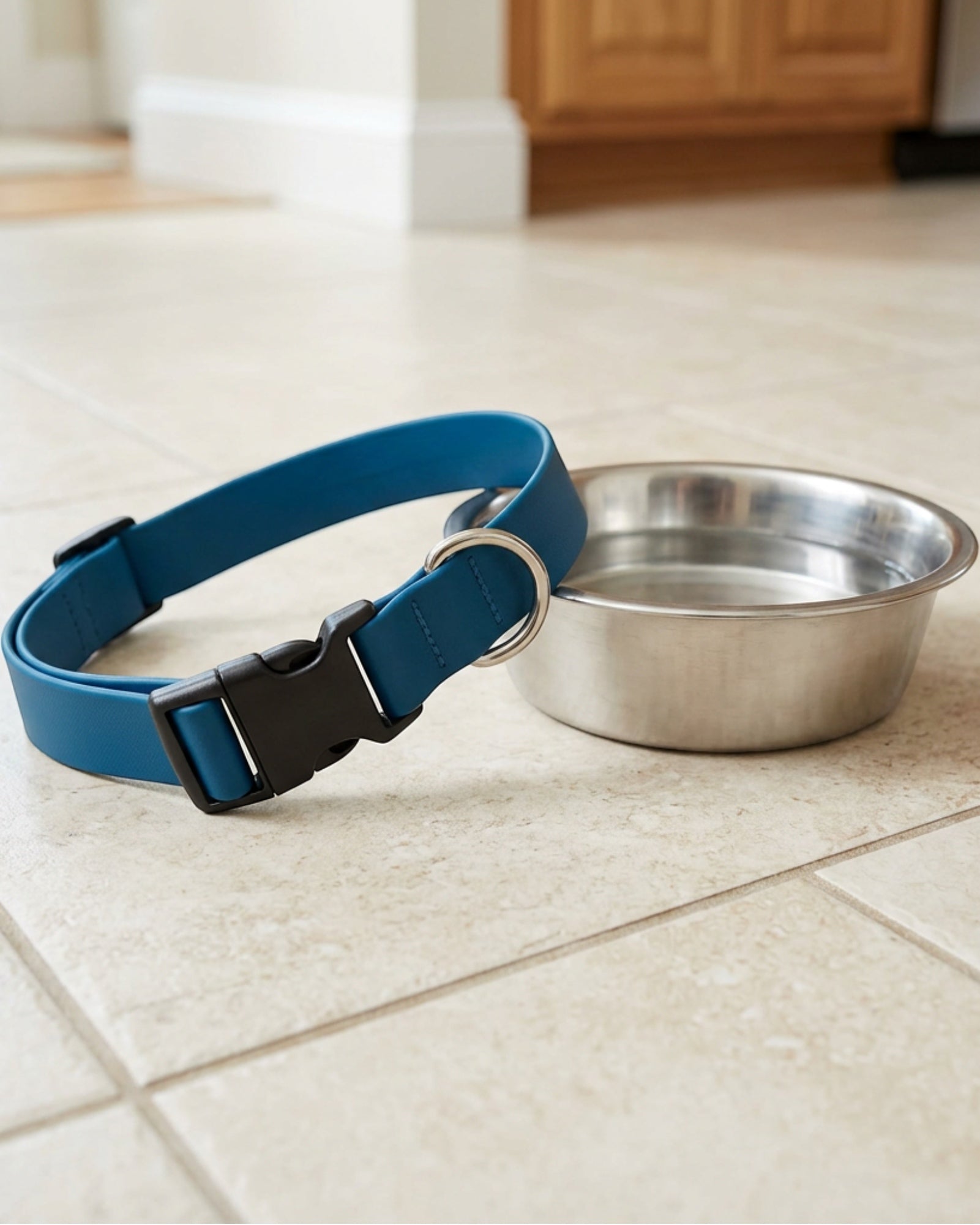 Basy Waterproof Coated-Webbing Pet Collar 38-56 cm Ocean Blue - Lifestyle view