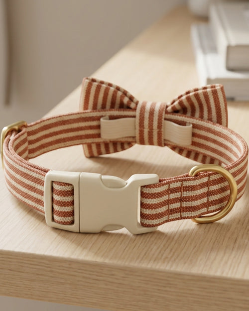 Basy Woven Cotton Pet Collar 30-46 cm Rust Stripe with Removable Bow - Lifestyle view